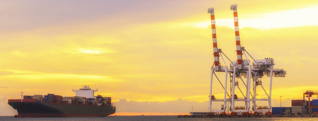 Cargo Insurance